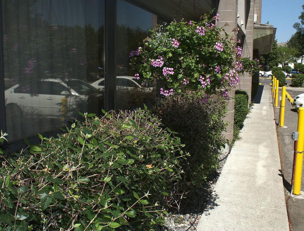Riversage Billings Inn Εξωτερικό φωτογραφία